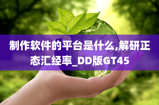 制作软件的平台是什么,解研正态汇经率_DD版GT45