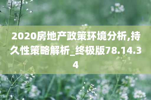 2020房地产政策环境分析,持久性策略解析_终极版78.14.34