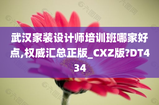 武汉家装设计师培训班哪家好点,权威汇总正版_CXZ版?DT434