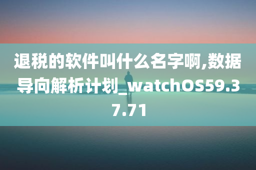 退税的软件叫什么名字啊,数据导向解析计划_watchOS59.37.71