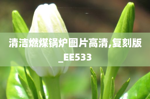 清洁燃煤锅炉图片高清,复刻版_EE533