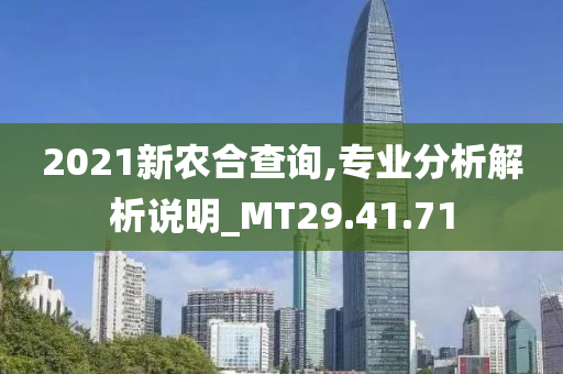 2021新农合查询,专业分析解析说明_MT29.41.71