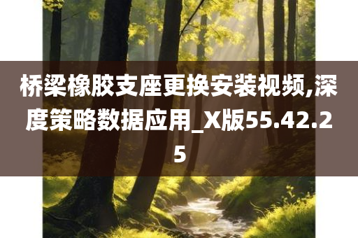 桥梁橡胶支座更换安装视频,深度策略数据应用_X版55.42.25