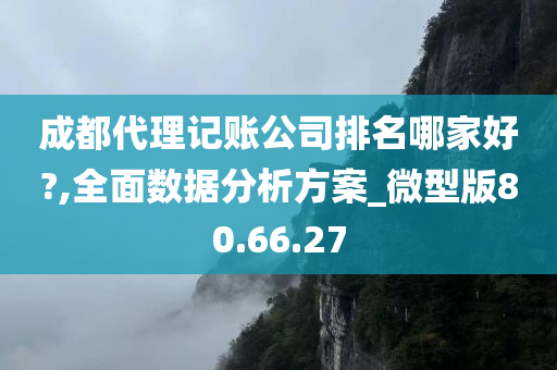 成都代理记账公司排名哪家好?,全面数据分析方案_微型版80.66.27