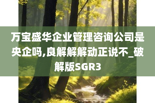 万宝盛华企业管理咨询公司是央企吗,良解解解动正说不_破解版SGR3