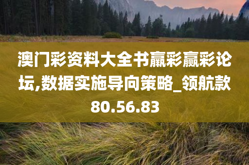 澳门彩资料大全书羸彩赢彩论坛,数据实施导向策略_领航款80.56.83