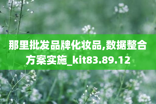 那里批发品牌化妆品,数据整合方案实施_kit83.89.12