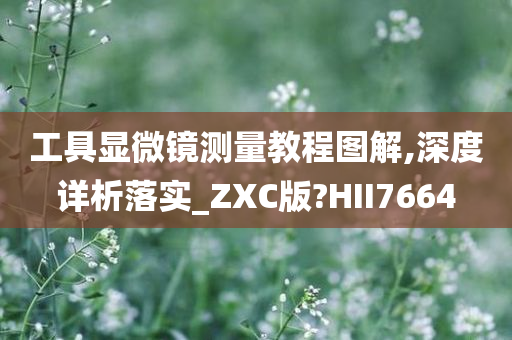 工具显微镜测量教程图解,深度详析落实_ZXC版?HII7664