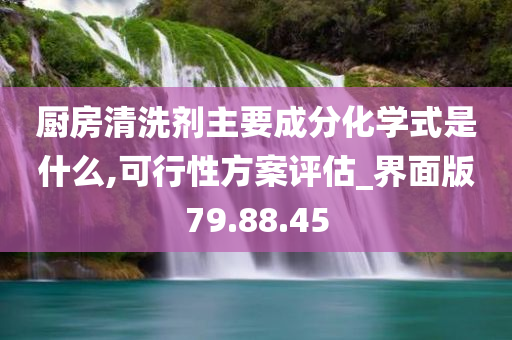 厨房清洗剂主要成分化学式是什么,可行性方案评估_界面版79.88.45