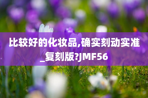 比较好的化妆品,确实刻动实准_复刻版?JMF56