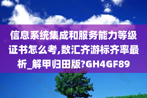 信息系统集成和服务能力等级证书怎么考,数汇齐游标齐率最析_解甲归田版?GH4GF89