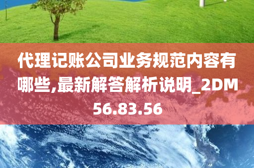 代理记账公司业务规范内容有哪些,最新解答解析说明_2DM56.83.56