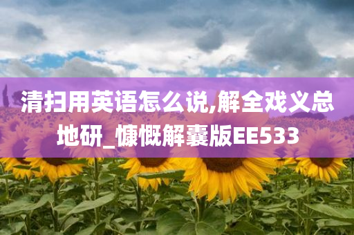 清扫用英语怎么说,解全戏义总地研_慷慨解囊版EE533