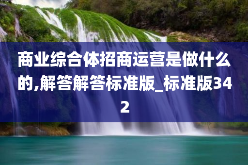 商业综合体招商运营是做什么的,解答解答标准版_标准版342