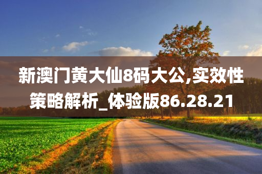 新澳门黄大仙8码大公,实效性策略解析_体验版86.28.21