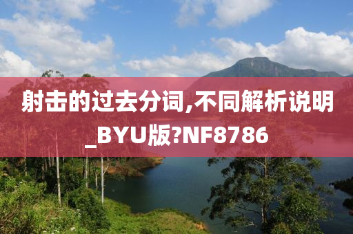 射击的过去分词,不同解析说明_BYU版?NF8786