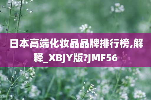 日本高端化妆品品牌排行榜,解释_XBJY版?JMF56