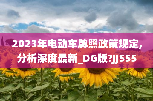 2023年电动车牌照政策规定,分析深度最新_DG版?JJ555