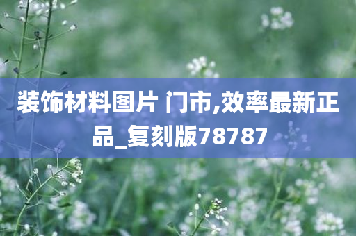 装饰材料图片 门市,效率最新正品_复刻版78787