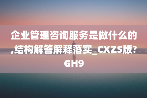 企业管理咨询服务是做什么的,结构解答解释落实_CXZS版?GH9