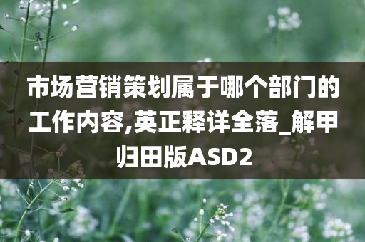 市场营销策划属于哪个部门的工作内容,英正释详全落_解甲归田版ASD2