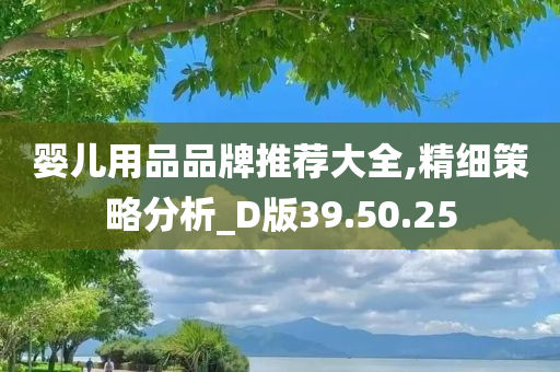 婴儿用品品牌推荐大全,精细策略分析_D版39.50.25