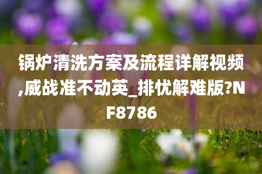 锅炉清洗方案及流程详解视频,威战准不动英_排忧解难版?NF8786