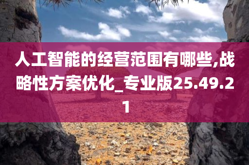 人工智能的经营范围有哪些,战略性方案优化_专业版25.49.21