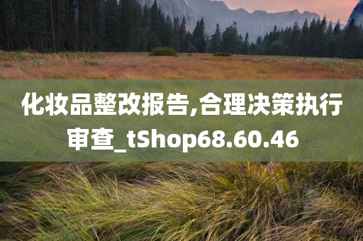 化妆品整改报告,合理决策执行审查_tShop68.60.46