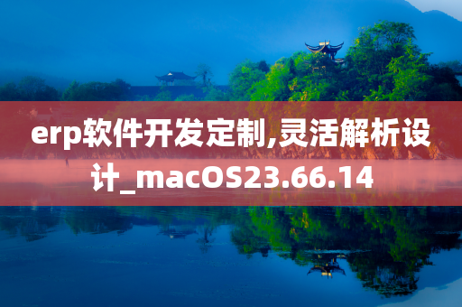 erp软件开发定制,灵活解析设计_macOS23.66.14