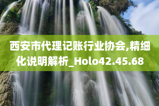 西安市代理记账行业协会,精细化说明解析_Holo42.45.68