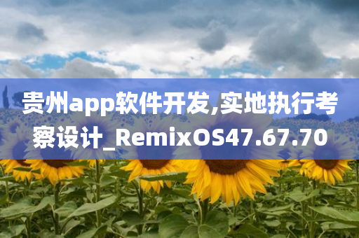 贵州app软件开发,实地执行考察设计_RemixOS47.67.70