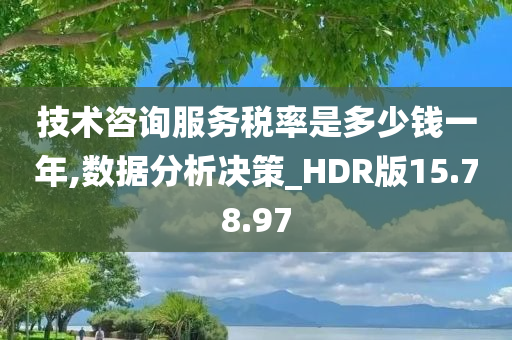 技术咨询服务税率是多少钱一年,数据分析决策_HDR版15.78.97