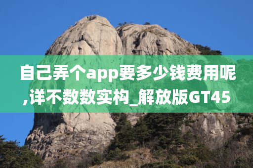 自己弄个app要多少钱费用呢,详不数数实构_解放版GT45