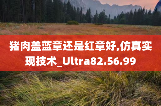 猪肉盖蓝章还是红章好,仿真实现技术_Ultra82.56.99