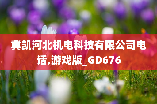 冀凯河北机电科技有限公司电话,游戏版_GD676