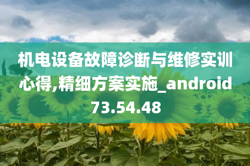 机电设备故障诊断与维修实训心得,精细方案实施_android73.54.48