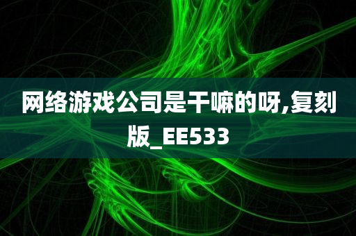 网络游戏公司是干嘛的呀,复刻版_EE533