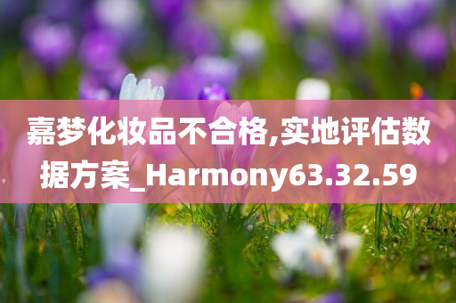 嘉梦化妆品不合格,实地评估数据方案_Harmony63.32.59