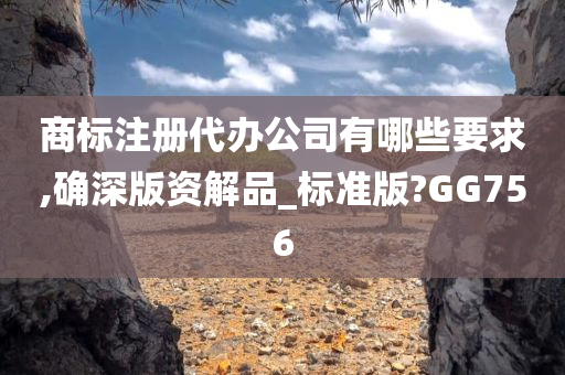 商标注册代办公司有哪些要求,确深版资解品_标准版?GG756