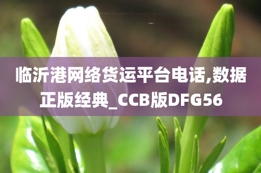 临沂港网络货运平台电话,数据正版经典_CCB版DFG56