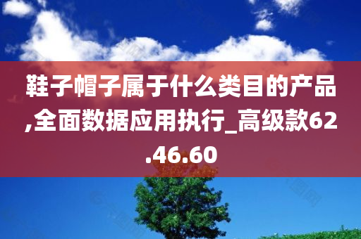 鞋子帽子属于什么类目的产品,全面数据应用执行_高级款62.46.60