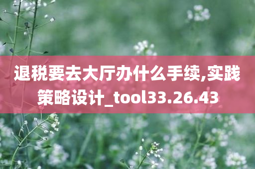 退税要去大厅办什么手续,实践策略设计_tool33.26.43