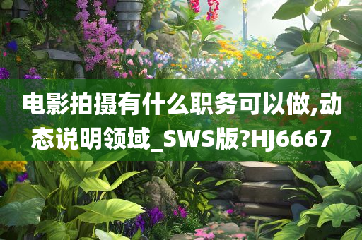 电影拍摄有什么职务可以做,动态说明领域_SWS版?HJ6667