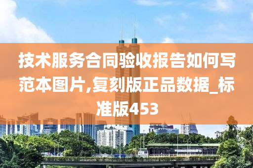 技术服务合同验收报告如何写范本图片,复刻版正品数据_标准版453