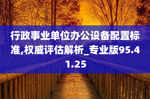 行政事业单位办公设备配置标准,权威评估解析_专业版95.41.25