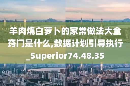 羊肉烧白萝卜的家常做法大全窍门是什么,数据计划引导执行_Superior74.48.35