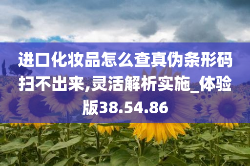 进口化妆品怎么查真伪条形码扫不出来,灵活解析实施_体验版38.54.86