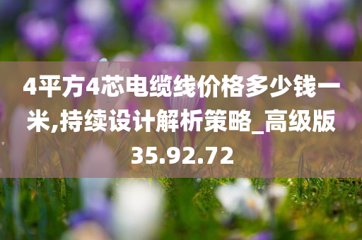 4平方4芯电缆线价格多少钱一米,持续设计解析策略_高级版35.92.72