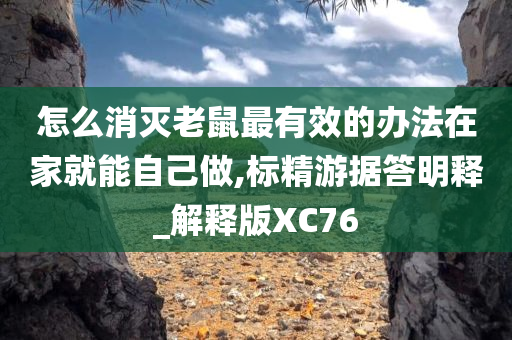 怎么消灭老鼠最有效的办法在家就能自己做,标精游据答明释_解释版XC76